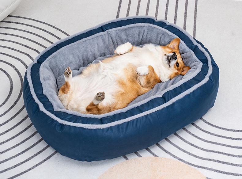 US pet bed import regulations
