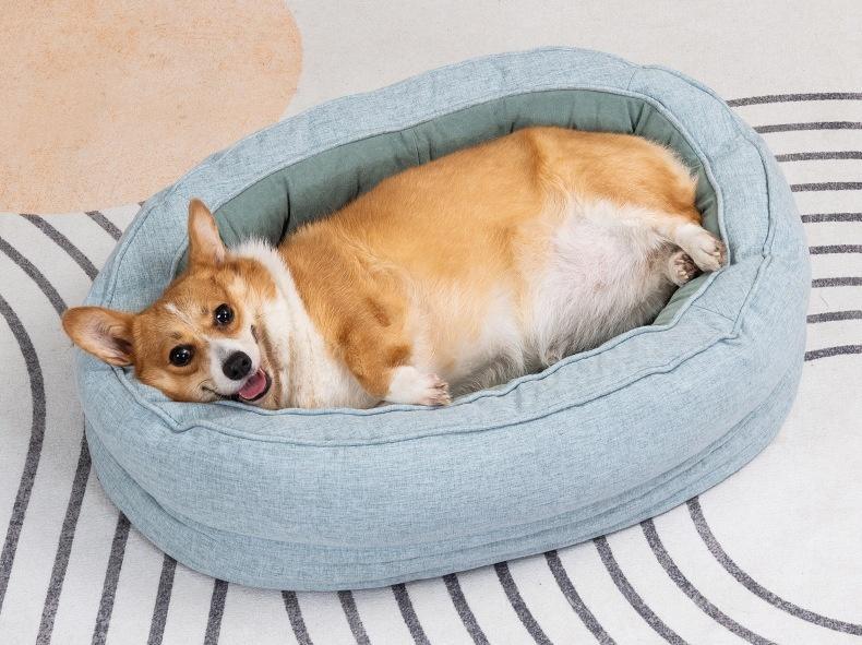 Pet Bed Import Regulations USA Guide