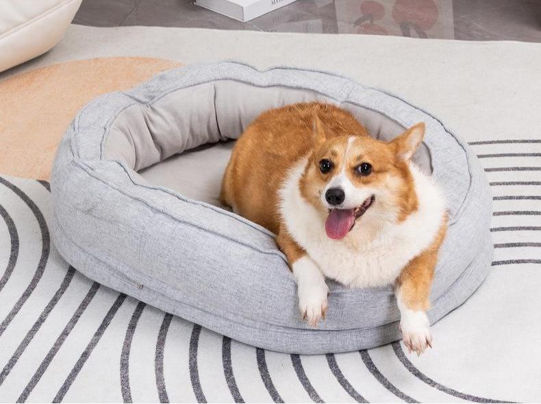 Compliant USA pet bed import regulations