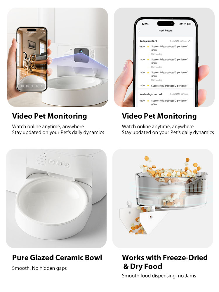 Secure & Pet-Safe Design