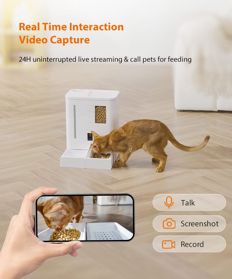 Video Monitoring & Two-Way Audio