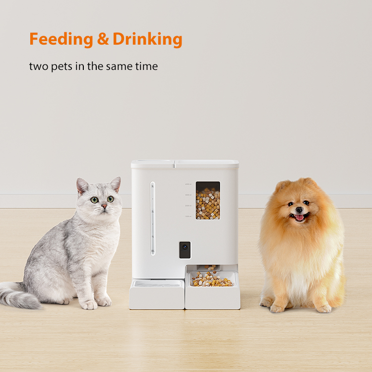 2-in-1 Automatic Pet Feeder &amp; Water Fountain