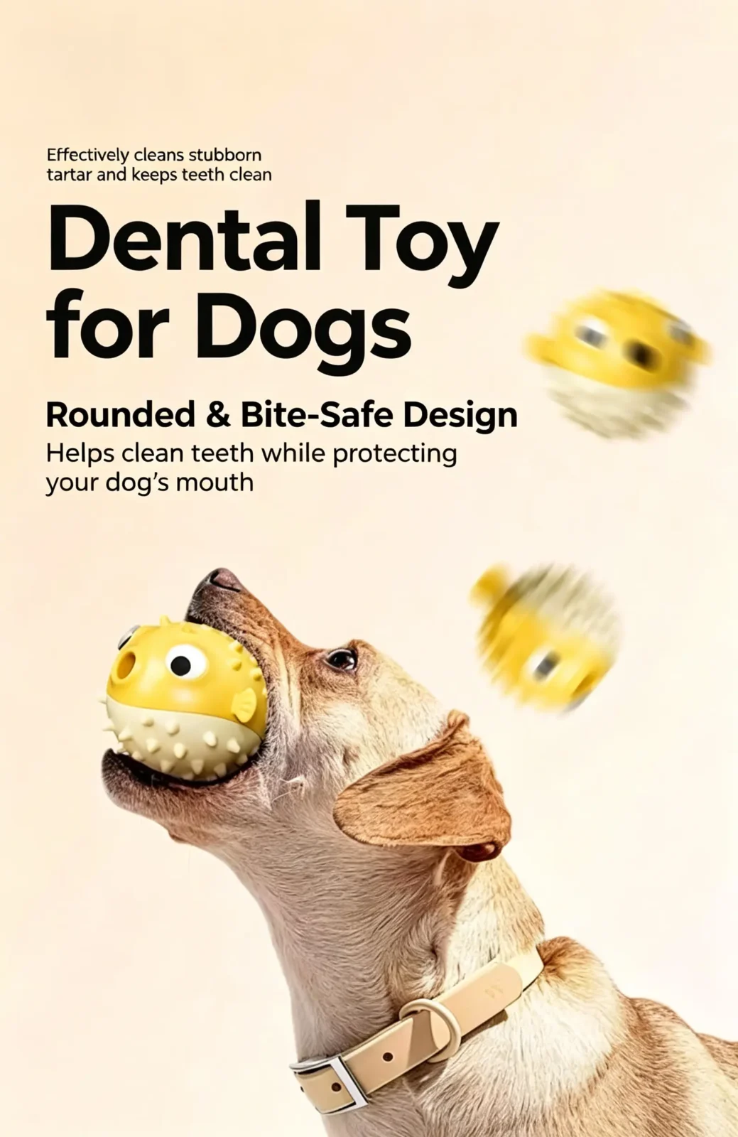 Dental Care & Chew-Friendly Design